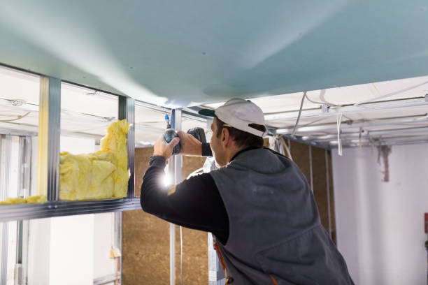 Best Residential Insulation in Humboldt Hill, CA