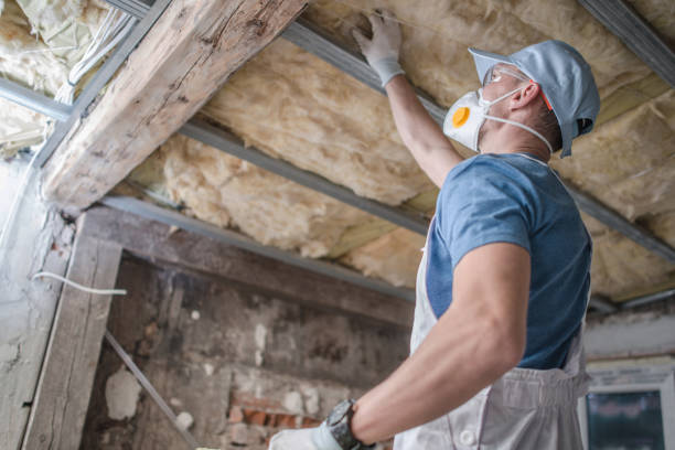Best Cellulose Insulation in Humboldt Hill, CA