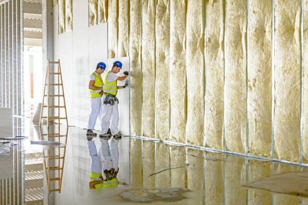 Best DIY Insulation Kits and Guidance in Humboldt Hill, CA